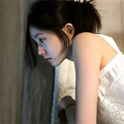 野狗们