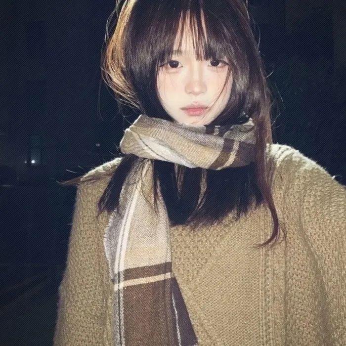 极地熊踪